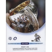 Sada euromincí 2011 - Majstrovstvá sveta IIHF na Slovensku - Proof