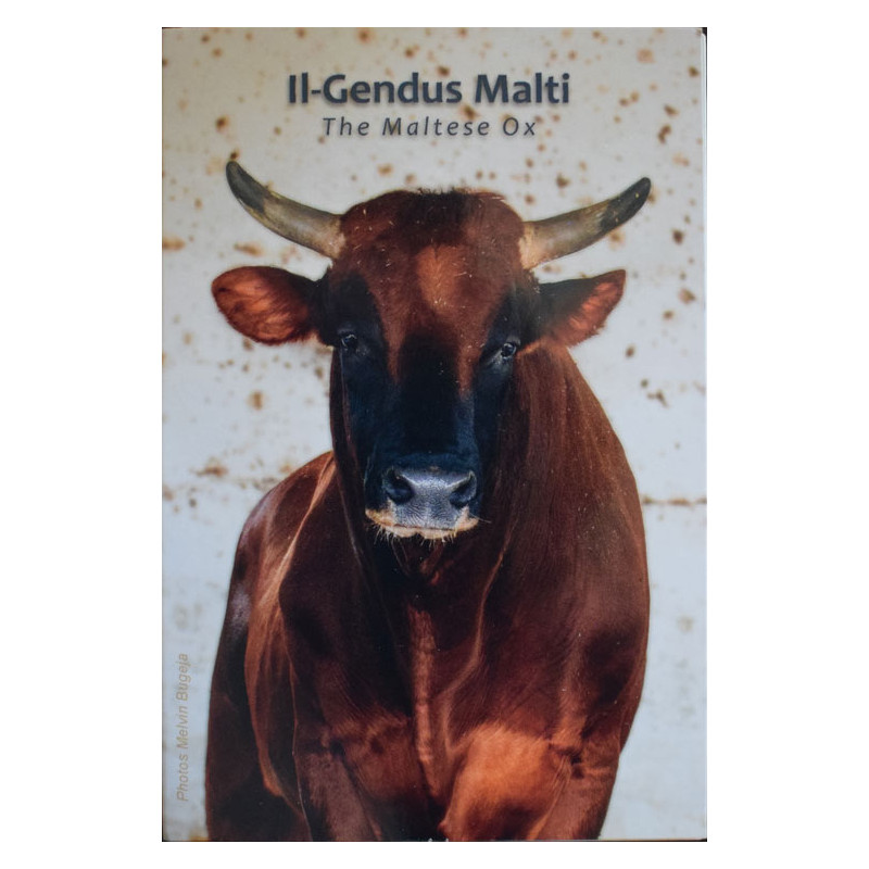 2 Euro Malta 2025 - Gendus Malti II, coin card