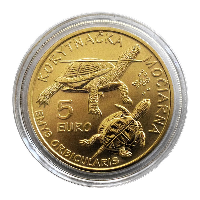 5 Euro 2026 - European pond turtle