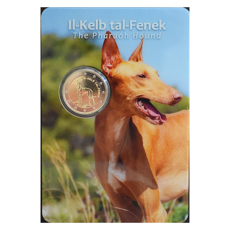 2 Euro Malta 2026 - Pharaoh Hound, coin card